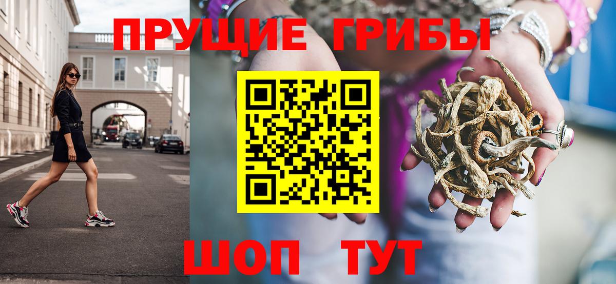 Галлюциногенные грибы мицелий  Псилоцибиновые грибы MAGIC MUSHROOMS  Вход с VPN  Нерюнгри 