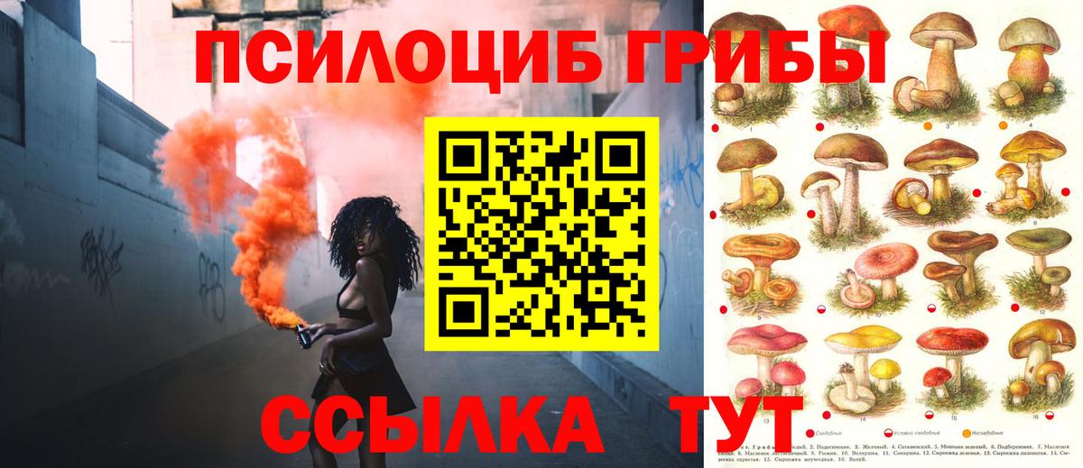 Псилоцибиновые грибы MAGIC MUSHROOMS Нерюнгри
